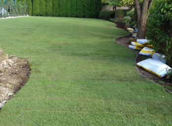 Kert és parkgondozás