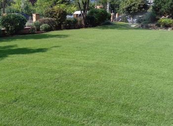 Kert és parkgondozás