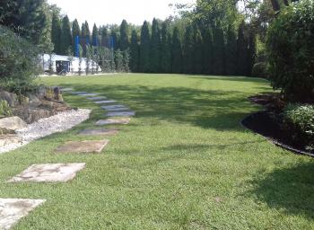 Kert és parkgondozás