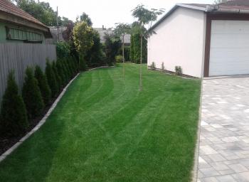 Kert és parkgondozás