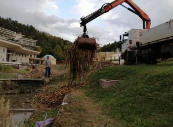 Kert és parkgondozás
