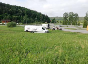 Kert és parkgondozás